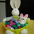 BunnyBellyBasket
